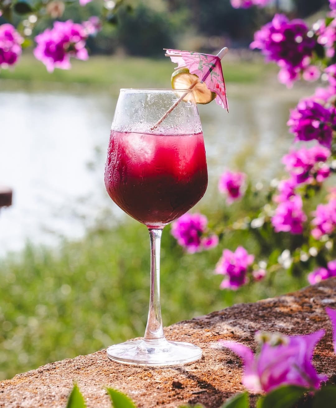 Pink lakeside cocktail