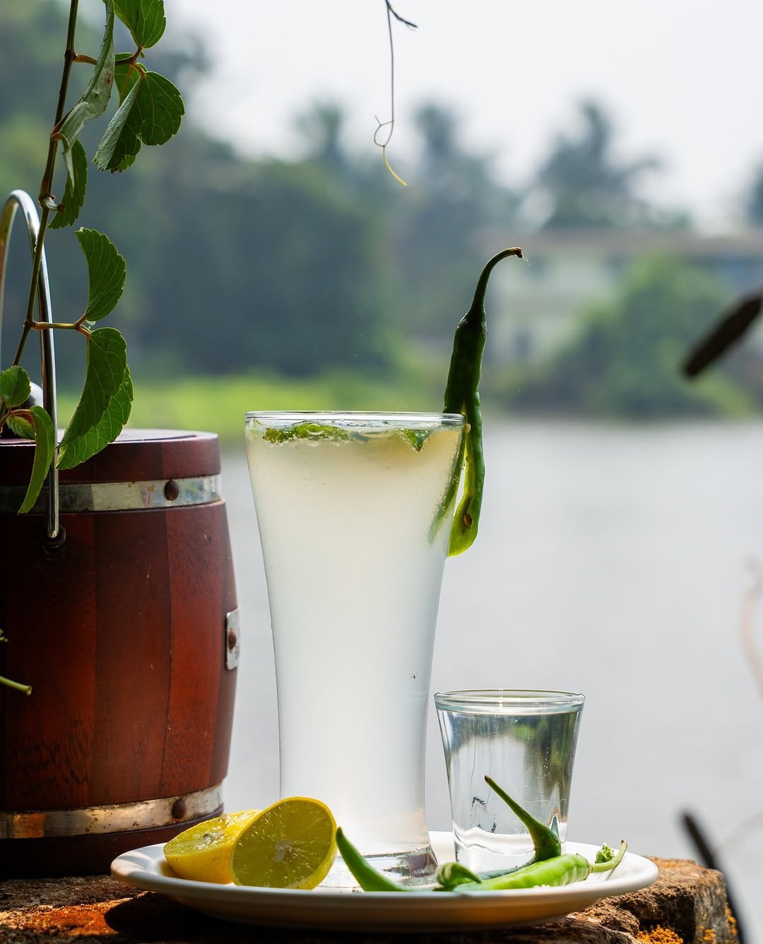 Green chilli lemonade by the lake